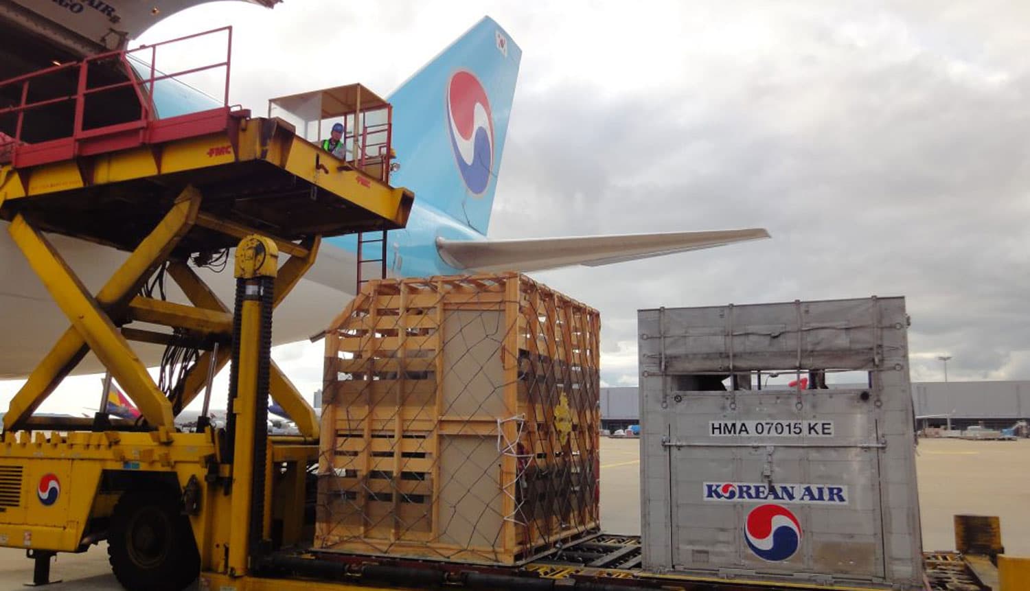 Animal crates handled on a Korean Air cargo operation