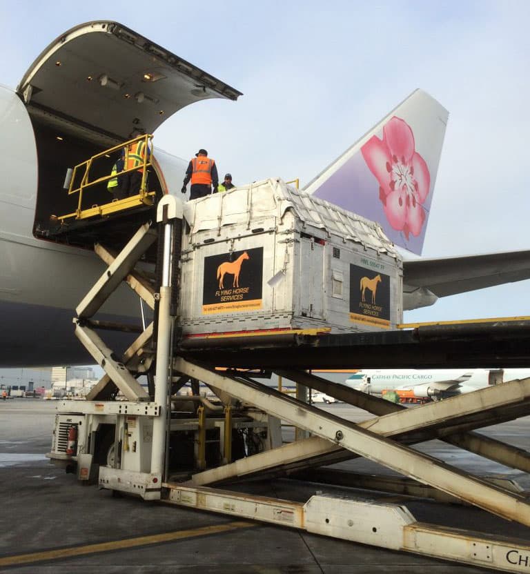 A Flying Horse Services crate being lifted into a freighter's cargo hold