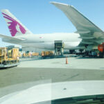 Animals in wood crates getting loaded into an airplance.